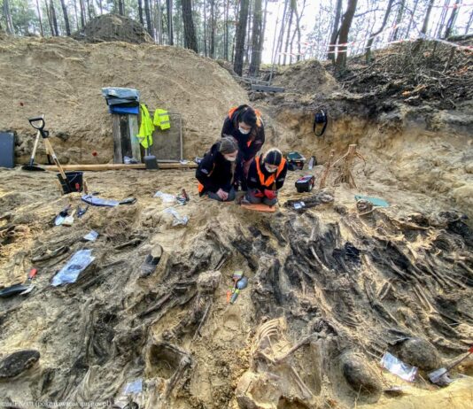 W bezimiennej mogile zbiorowej na Białołęce odnaleziono 35 osób w tym dzieci badania mogiły w lesie w Białołęce