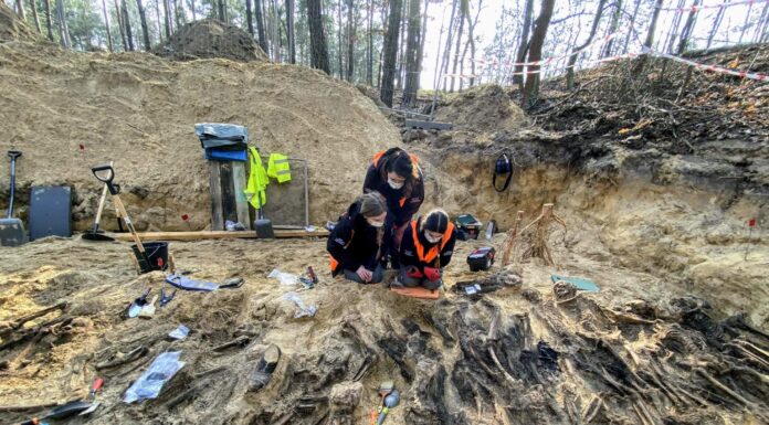W bezimiennej mogile zbiorowej na Białołęce odnaleziono 35 osób w tym dzieci badania mogiły w lesie w Białołęce
