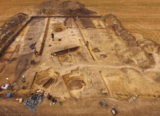 Świętokrzyskie. Odkryto jedno z największych cmentarzysk megalitycznych w Polsce debiany wykopaliska archeologiczne