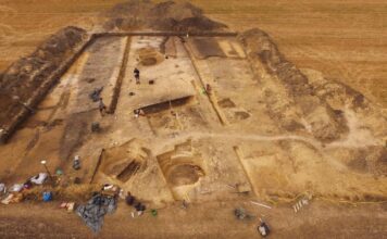 Świętokrzyskie. Odkryto jedno z największych cmentarzysk megalitycznych w Polsce debiany wykopaliska archeologiczne