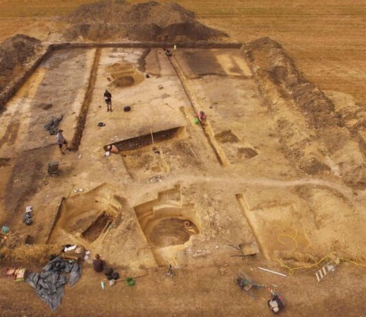 Świętokrzyskie. Odkryto jedno z największych cmentarzysk megalitycznych w Polsce debiany wykopaliska archeologiczne