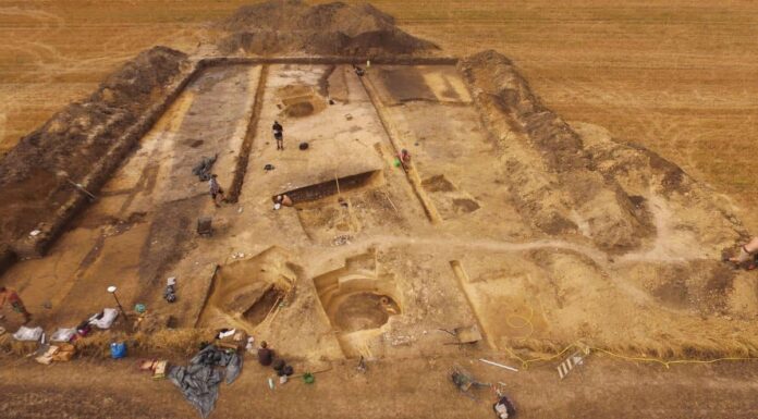 Świętokrzyskie. Odkryto jedno z największych cmentarzysk megalitycznych w Polsce debiany wykopaliska archeologiczne