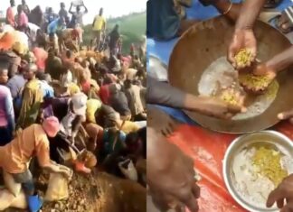 Gorączka złota w Kongo. Tubylcy rękoma kopią w ziemi (FILM) gorączka złota kongo