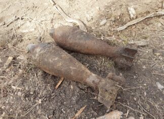 Wielkopolska. Leśniczy wyorał granaty moździerzowe z IIWŚ granaty moździerzowe