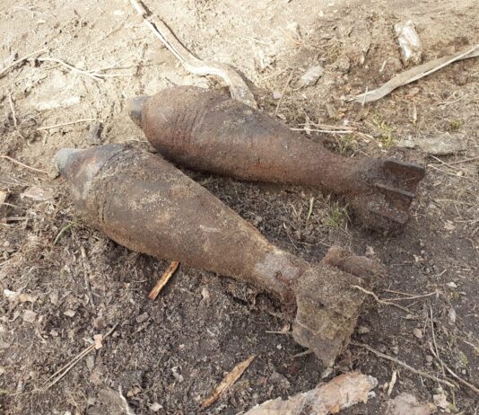 Wielkopolska. Leśniczy wyorał granaty moździerzowe z IIWŚ granaty moździerzowe