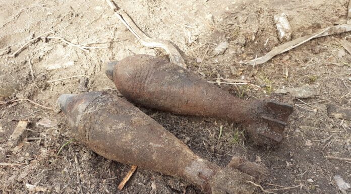 Wielkopolska. Leśniczy wyorał granaty moździerzowe z IIWŚ granaty moździerzowe