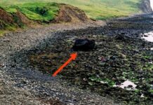 Nagroda „Złoty gwóźdź” za odkrycie granicy geologicznej w Szkocji dla UW! granica geologiczna w Szkocji