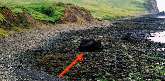 Nagroda „Złoty gwóźdź” za odkrycie granicy geologicznej w Szkocji dla UW! granica geologiczna w Szkocji