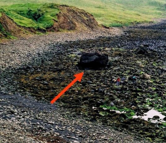 Nagroda „Złoty gwóźdź” za odkrycie granicy geologicznej w Szkocji dla UW! granica geologiczna w Szkocji