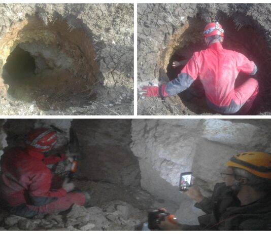 Lubelskie. Rolnik na swoim polu odkrył jaskinię z epoki lodowcowej jaskinia w okolicy Kraśnika