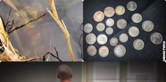 Okradli starszego kolekcjonera – szybko dosięgła ich sprawiedliwość! zatrzymani przez policję za kradzież kolekcji monet