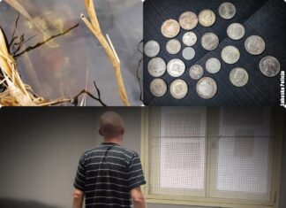 Okradli starszego kolekcjonera – szybko dosięgła ich sprawiedliwość! zatrzymani przez policję za kradzież kolekcji monet