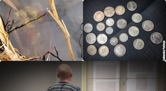 Okradli starszego kolekcjonera – szybko dosięgła ich sprawiedliwość! zatrzymani przez policję za kradzież kolekcji monet