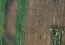 Archeologia i technologia. Sztuczna inteligencja pomoże masowo odkrywać pradziejowe zabytki rondel neolityczny