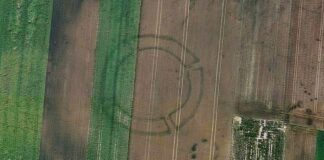 Archeologia i technologia. Sztuczna inteligencja pomoże masowo odkrywać pradziejowe zabytki rondel neolityczny