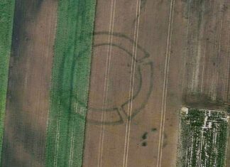 Archeologia i technologia. Sztuczna inteligencja pomoże masowo odkrywać pradziejowe zabytki rondel neolityczny