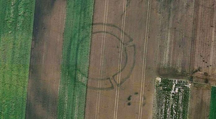 Archeologia i technologia. Sztuczna inteligencja pomoże masowo odkrywać pradziejowe zabytki rondel neolityczny