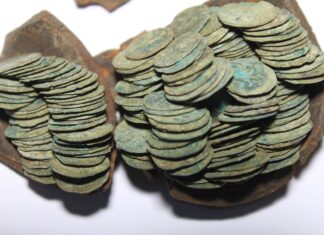Skarb 220 denarów króla Jagiełły odkryty przez pasjonatów pod Starym Sączem! Skarb srebrnych denarów Jagiełły z XV wieku