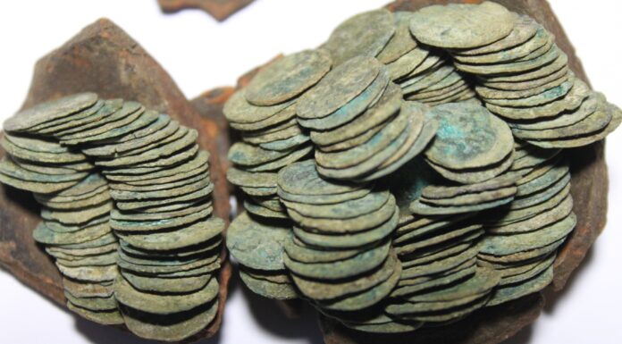 Skarb 220 denarów króla Jagiełły odkryty przez pasjonatów pod Starym Sączem! Skarb srebrnych denarów Jagiełły z XV wieku