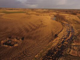 130 pieców garncarskich z okresu rzymskiego odkryli archeolodzy z Małopolski stanowisko archeologiczne projekt Wrzępia