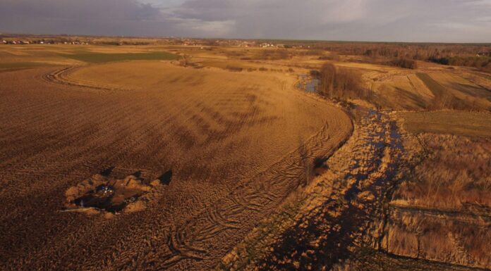 130 pieców garncarskich z okresu rzymskiego odkryli archeolodzy z Małopolski stanowisko archeologiczne projekt Wrzępia
