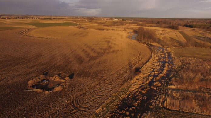 stanowisko archeologiczne projekt Wrzępia