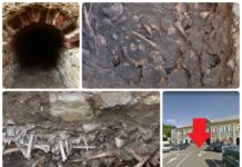 Cmentarz i tunel odkryty przez archeologów pod parkingiem w Jaśle (GALERIA) Tunel i cmentarz po dawnym klasztorze odkryty na placu Żwirki i Wigury w Jaśle