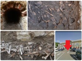 Cmentarz i tunel odkryty przez archeologów pod parkingiem w Jaśle (GALERIA) Tunel i cmentarz po dawnym klasztorze odkryty na placu Żwirki i Wigury w Jaśle