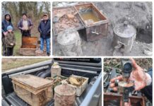 Bielinek nad Odrą – odkryli w ogrodzie depozyt „uciekających Niemców” z 1945 roku! Niemiecki depozyt Bielinek