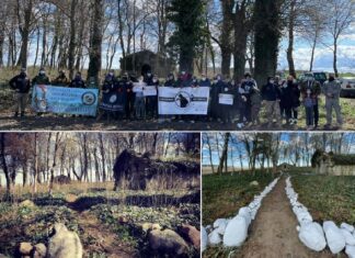 Projekt „Ławeczka Pamięci” – przywracają stare cmentarze w zachodniopomorskim Tempelburg cmentarz