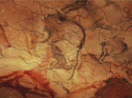 Starożytni ludzie mogli tworzyć malowidła w jaskiniach podczas halucynacji malowidlo jaskinowe