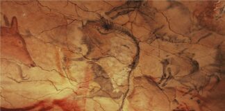 Starożytni ludzie mogli tworzyć malowidła w jaskiniach podczas halucynacji malowidlo jaskinowe
