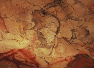 Starożytni ludzie mogli tworzyć malowidła w jaskiniach podczas halucynacji malowidlo jaskinowe