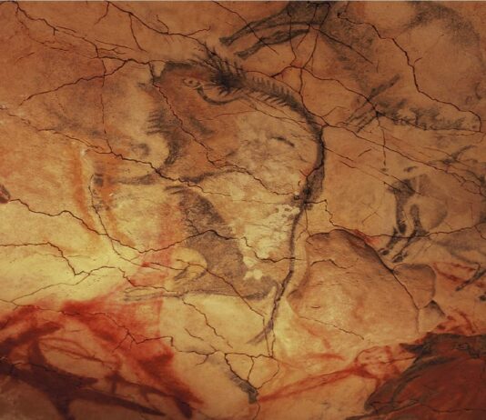 Starożytni ludzie mogli tworzyć malowidła w jaskiniach podczas halucynacji malowidlo jaskinowe