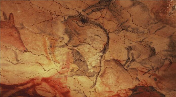 Starożytni ludzie mogli tworzyć malowidła w jaskiniach podczas halucynacji malowidlo jaskinowe