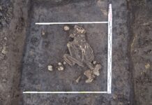 Racibórz. Rolnik odkrywcą grobów sprzed 4000 lat!