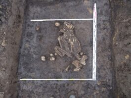 Racibórz. Rolnik odkrywcą grobów sprzed 4000 lat!