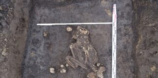 Racibórz. Rolnik odkrywcą grobów sprzed 4000 lat!