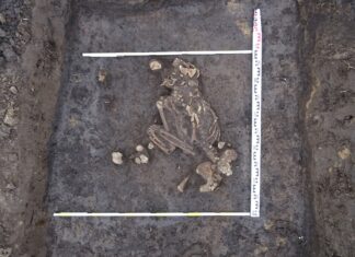 Racibórz. Rolnik odkrywcą grobów sprzed 4000 lat!