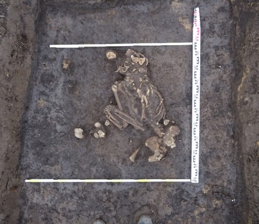 Racibórz. Rolnik odkrywcą grobów sprzed 4000 lat!