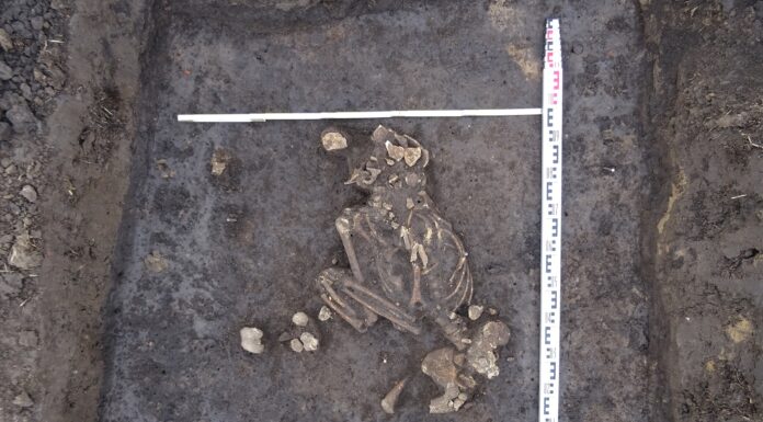 Racibórz. Rolnik odkrywcą grobów sprzed 4000 lat!