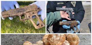 Rosyjskie kule armatnie i amerykański pistolet – znaleziska poszukiwaczy w Twierdzy Modlin (GALERIA) pistolet colt i kule armatnie Twierdza Modlin