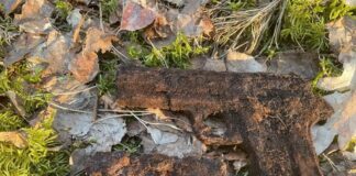 Holandia. Depozyt broni partyzantów znaleźli poszukiwacze z Polski Dwa pistolety ukryte razem przez holenderski ruch opony