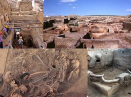 Niezwykłe wyniki badań pochówków w jednym z najstarszych neolitycznych miast świata wykopaliska w neolitycznym Catalhoeyuek