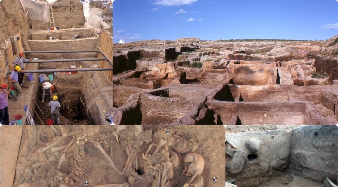 Niezwykłe wyniki badań pochówków w jednym z najstarszych neolitycznych miast świata wykopaliska w neolitycznym Catalhoeyuek