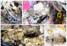 Rosja. Skradziona biżuteria warta 8 mln zł odkryta w lesie (FILM) Biżuteria warta 160 mln rubli odkryta w plastikowych workach w lesie