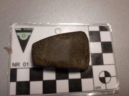 Ma nawet 6 tys. lat – neolityczna siekierka znaleziona pod Toruniem Siekierka z epoki kamienia gładzonego