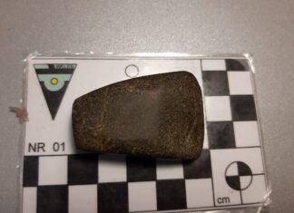 Ma nawet 6 tys. lat – neolityczna siekierka znaleziona pod Toruniem Siekierka z epoki kamienia gładzonego