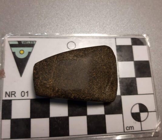 Ma nawet 6 tys. lat – neolityczna siekierka znaleziona pod Toruniem Siekierka z epoki kamienia gładzonego