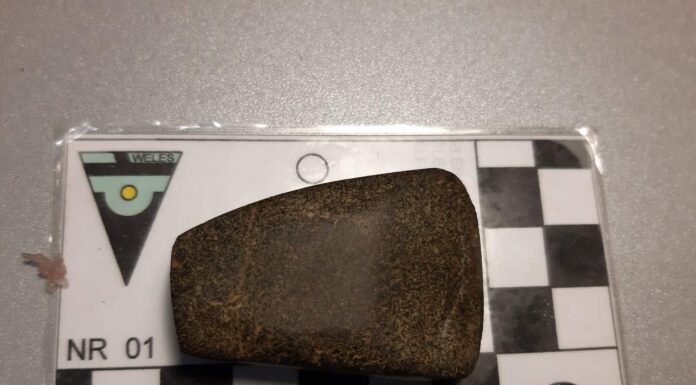 Ma nawet 6 tys. lat – neolityczna siekierka znaleziona pod Toruniem Siekierka z epoki kamienia gładzonego